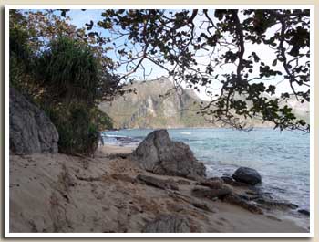la mer vue de la plage avec arbre